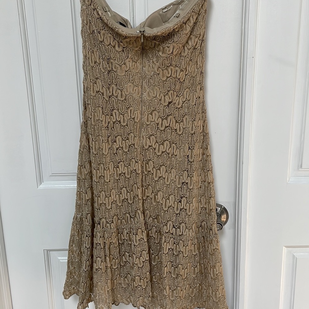 Cache Gold Dress - Picture 4 of 9